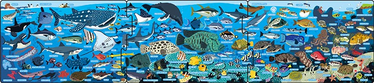 兒童向 - 海洋生物 18/24/32塊 (16.5×74cm)