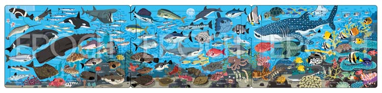 兒童向 - 在歡樂的海洋裡 10/15/20塊 (16.5×74cm)