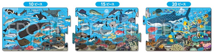兒童向 - 在歡樂的海洋裡 10/15/20塊 (16.5×74cm)