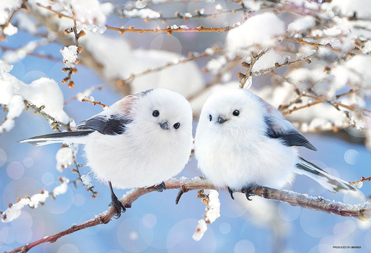 動物類 - 蓬鬆的北長尾山雀 300塊 (26×38cm)