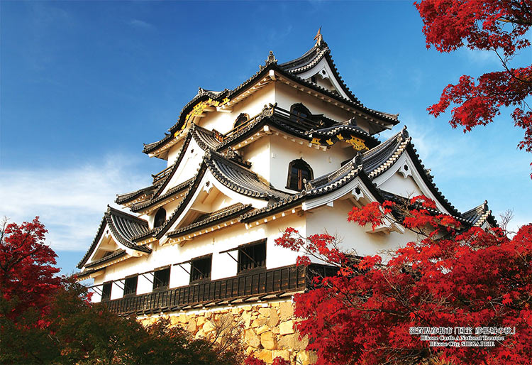 日本風景 - 紅葉下的彥根城 300塊 (26×38cm)
