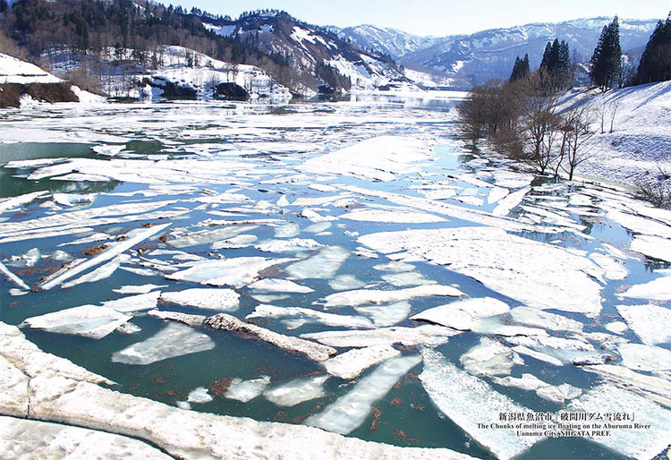 日本風景 - 新潟縣魚沼市的雪花飄落 300塊 (26×38cm)