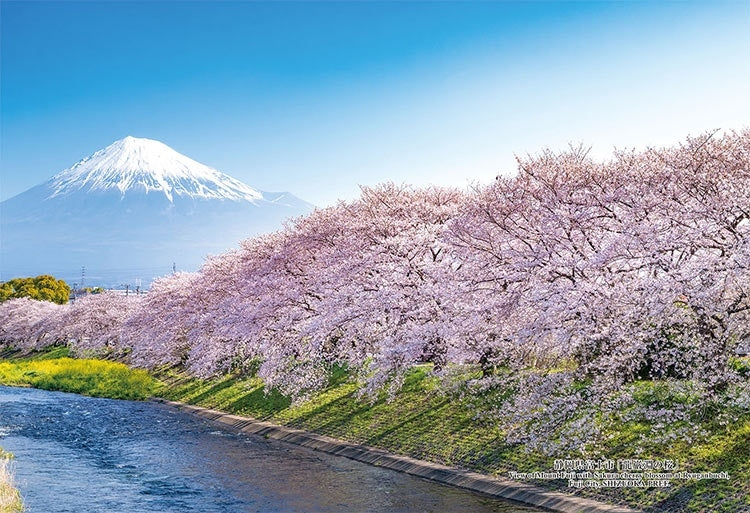 日本風景 - 靜岡縣富士市的龍巖淵300塊 (26×38cm)