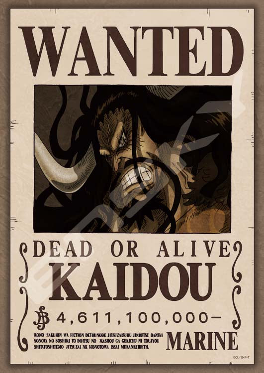 海賊王 - 凱多 通緝令 II 208塊 (18.2×25.7cm)