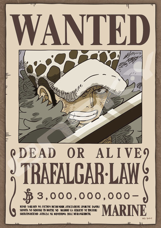 海賊王 - 托拉法爾加·羅 通緝令 II 208塊 (18.2×25.7cm)