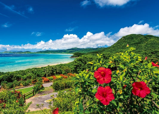 日本風景 - 石垣島的大海和芙蓉花 500塊 (38×53cm)
