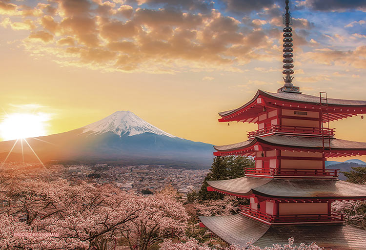 (透明樹脂) 日本風景 - 櫻花下的富士山 70塊 (10×14.7cm)