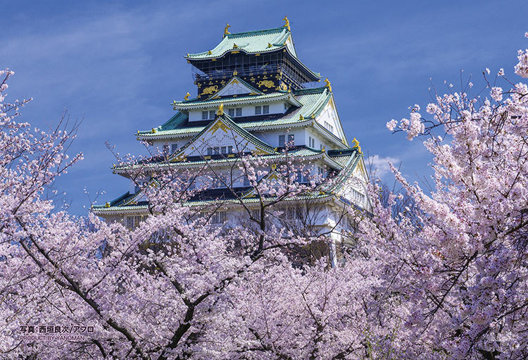 (透明樹脂) 日本風景 - 大阪城天守閣櫻花盛開 70塊 (10×14.7cm)