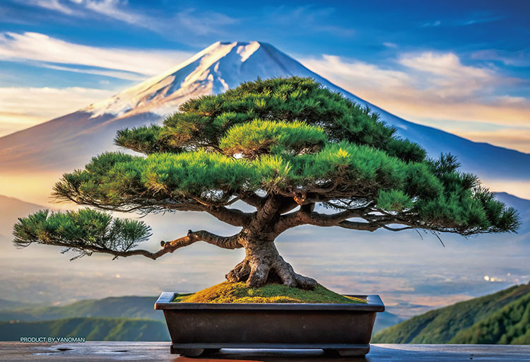 (透明樹脂) 日本風景 - 富士山 70塊 (10×14.7cm)