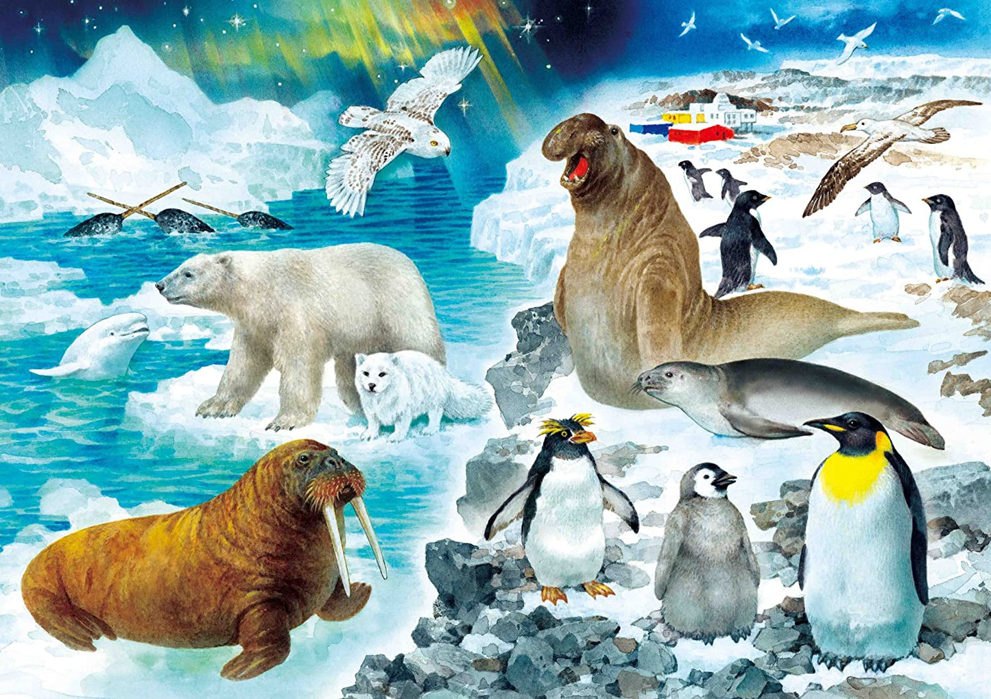 兒童向 - KUMON STEP 4 動物家族 54/70/88塊