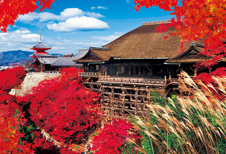 日本風景 - 秋紅清水寺 1000塊 (49×72cm)