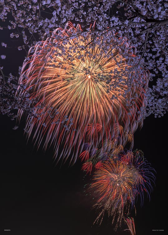 日本風景 - 春之雅 500塊 (38×53cm)