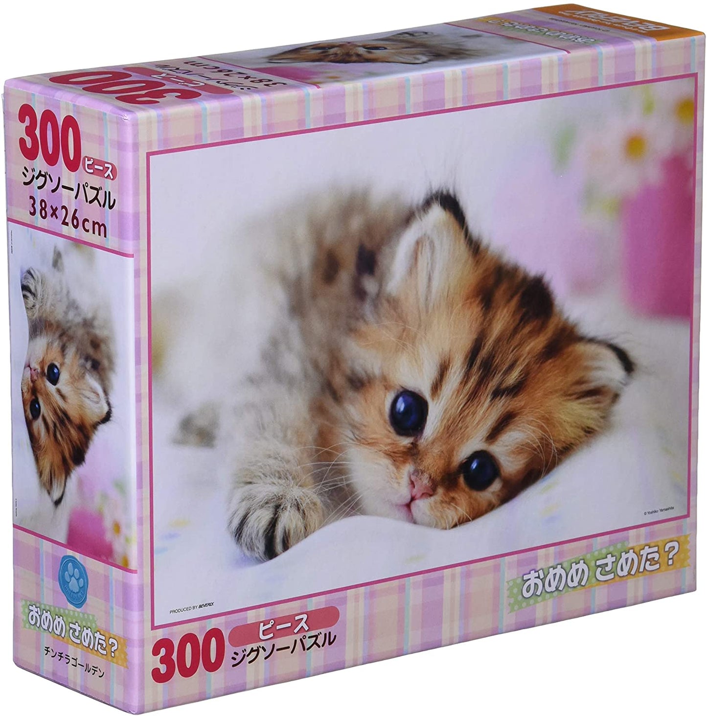 動物類 - 千萬不要放棄哦 300塊 (26×38cm)