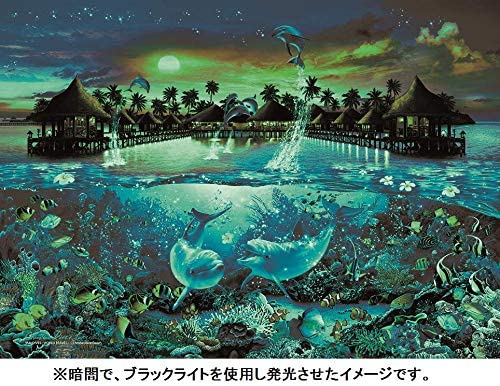(夜光) Christian Lassen - 馬爾代夫世界旅遊 500塊 (38×53cm)