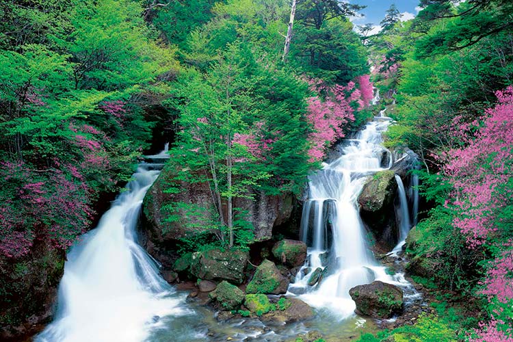 日本風景 - 栃木縣小溪流 1000塊 (50×75cm)