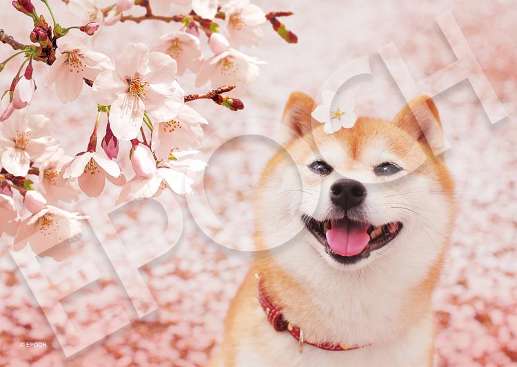 動物類 - 春天到了 108塊 (18.2×25.7cm)