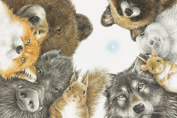 下川由美 - 尋求希望 300塊 (26×38cm)