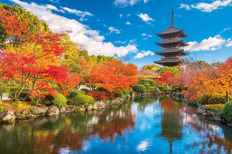 日本風景 - 紅葉之京都東寺 1000塊 (50×75cm)