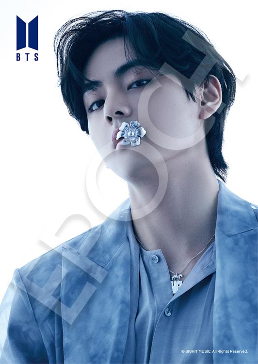 BTS 防彈少年團 - Proof Jung V 108塊 (18.2×25.7cm)