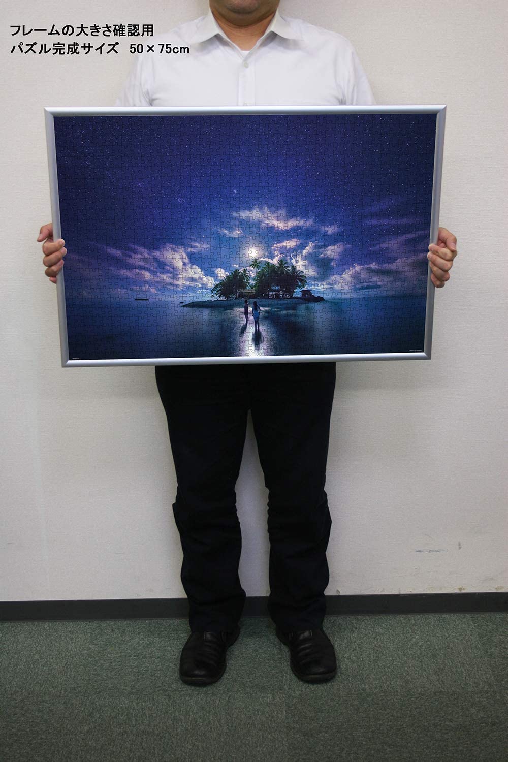 (夜光) 美國風景 - 南島之月夜 1000塊 (50×75cm)