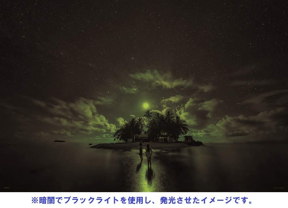 (夜光) 美國風景 - 南島之月夜 1000塊 (50×75cm)