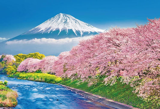日本風景 - 春爛漫之櫻與富士 1000塊 (49×72cm)