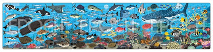 兒童向 - 在歡樂的海洋裡 10/15/20塊 (16.5×74cm)