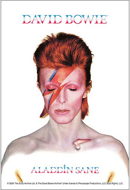 (迷你尺寸) David Bowie - ALADDIN SANE 120塊 (10×14.7cm)