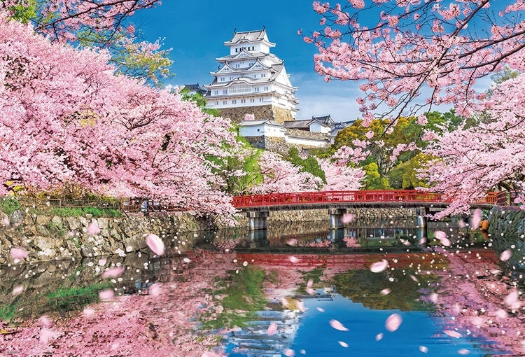 日本風景 - 春爛漫の姫路城 1000塊 (49×72cm)