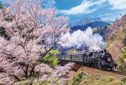 日本風景 - 大井川鐵道與櫻花 1000塊 (49×72cm)