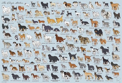 動物類 - 狗狗工作室 1000塊 (49×72cm)