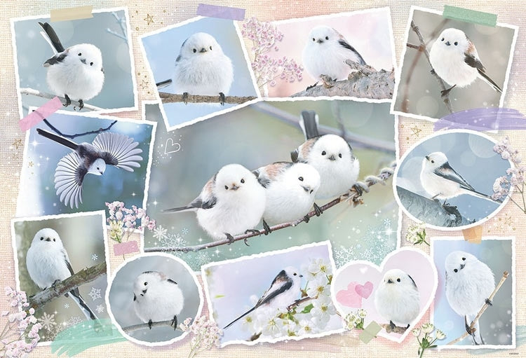 寵物動物 - 島長尾山雀 Photo Memories 1000塊 (49×72cm)