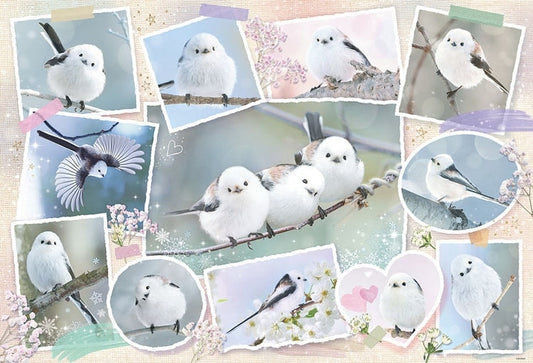 寵物動物 - 島長尾山雀 Photo Memories 1000塊 (49×72cm)