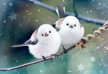 動物類 - 毛茸茸的雪妖精  300塊 (26×38cm)
