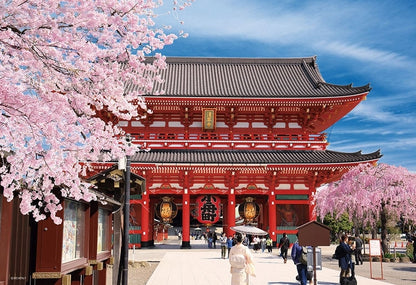 日本風景 - 淺草寺春日 300塊 (26×38cm)
