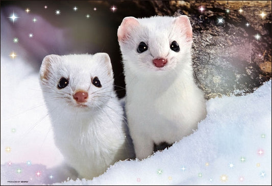 動物類 - 北海道白鼬 300塊 (26×38cm)