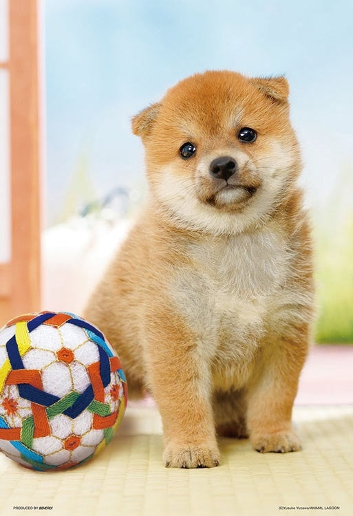 動物類 - 柴犬開心時刻 300塊 (26×38cm)