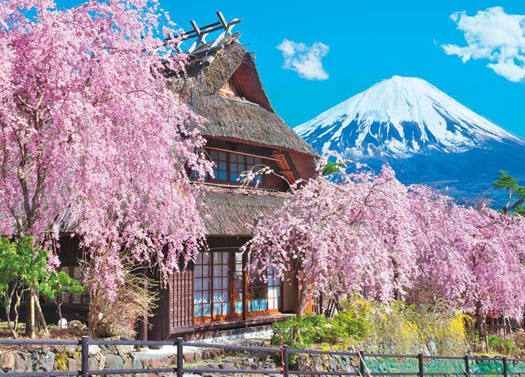 日本風景 - 櫻花滿開的富士山 600塊 (38×53cm)