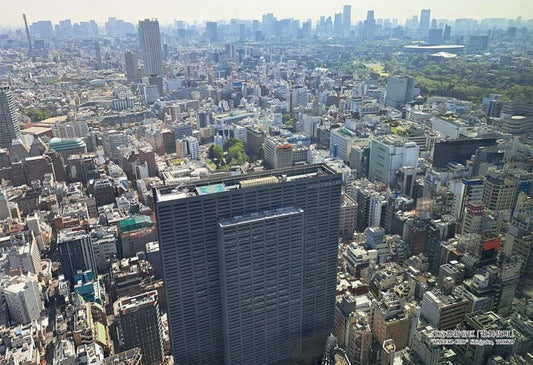 日本風景 - 東京歌舞伎町 300塊 (26×38cm)