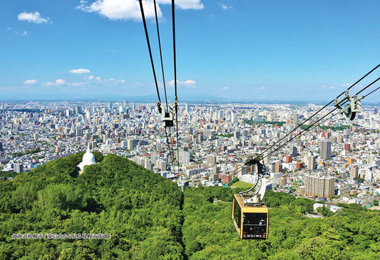 日本風景 - 從藻岩山看札幌市 300塊 (26×38cm)