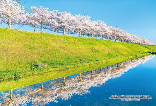 日本風景 - 小野櫻堤迴廊倒掛櫻花 300塊 (26×38cm)
