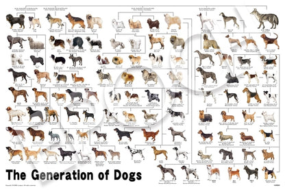 動物類 - 狗狗家族圖 1000塊 (50×75cm)