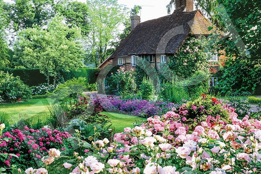 (迷你尺寸) 歐洲風景 - 花園小屋 2016塊 (50×75cm)