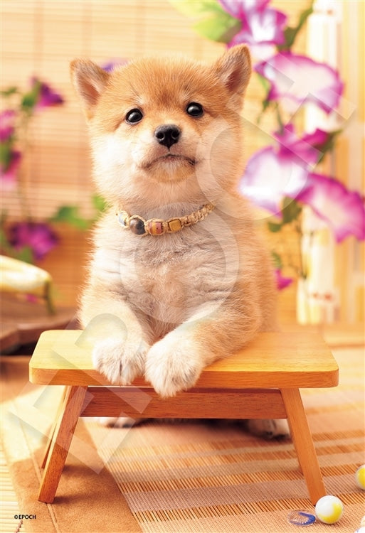 動物類 - 狗狗日 300塊 (26×38cm)