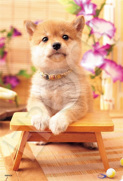 動物類 - 狗狗日 300塊 (26×38cm)