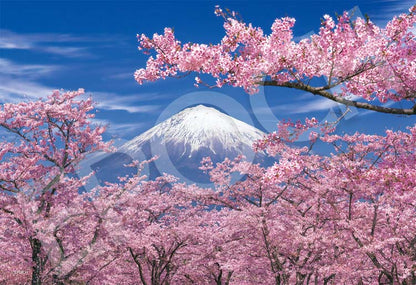 日本風景 - 春景富士(靜岡) 300塊 (26×38cm)