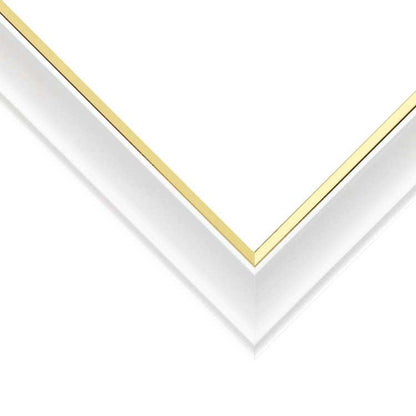 透明專用框 - 25×36cm (500塊)