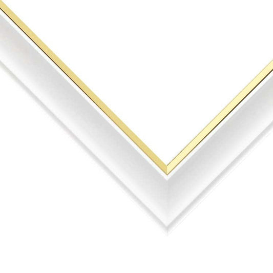 透明專用框 - 25×36cm (500塊)