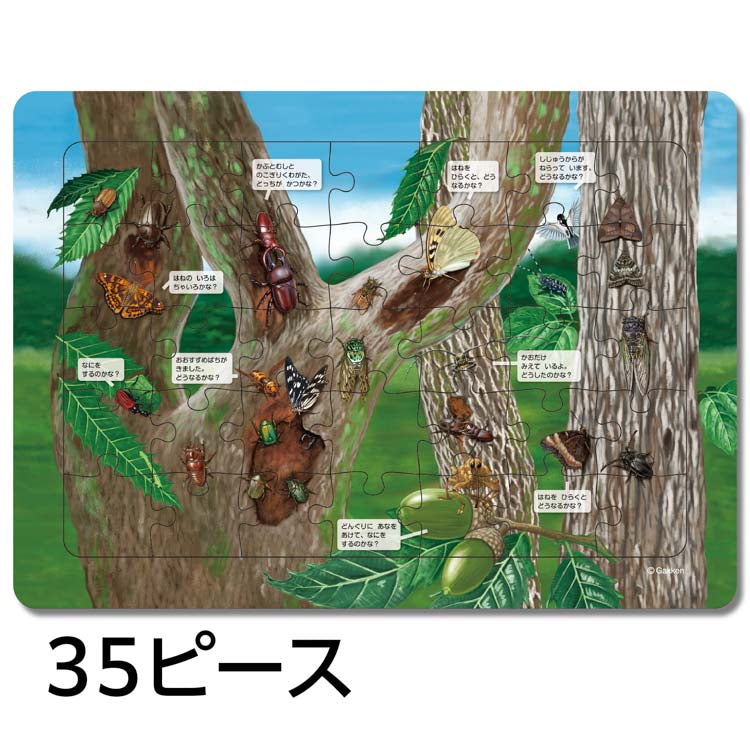 兒童向 - 哈肯拼圖昆蟲 Step 2   15/20/35塊