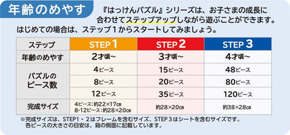 兒童向 - 哈肯拼圖昆蟲 Step 2   15/20/35塊